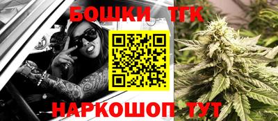 индика Аша