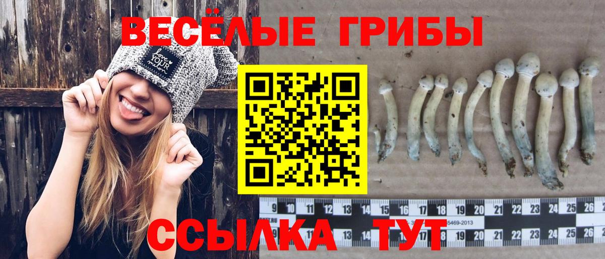 Соль-Илецк  Псилоцибиновые грибы Cubensis  Псилоцибиновые грибы прущие грибы  Вход с VPN 