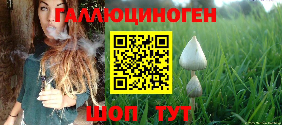 Галлюциногенные грибы MAGIC MUSHROOMS Соль-Илецк